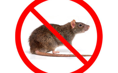 Rodent Proofing and Rodent Control